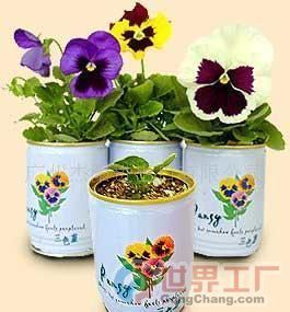 批發易拉罐花卉價格、廠家及機械設備全解析——世界工廠網產品信息庫指南